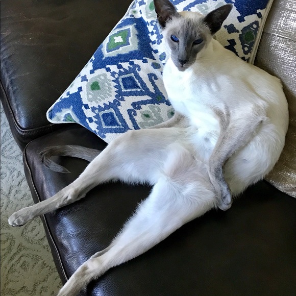 Hi I’m Joy and I’m obsessed with recycled fashion! - Picture 4 of 5